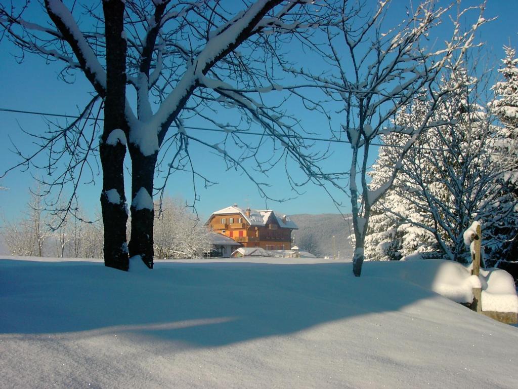 Hotel Da Barba B&B Asiago Buitenkant foto