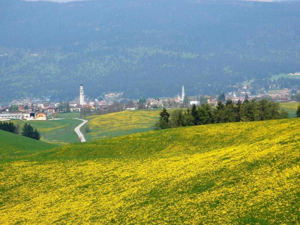 Hotel Da Barba B&B Asiago Buitenkant foto