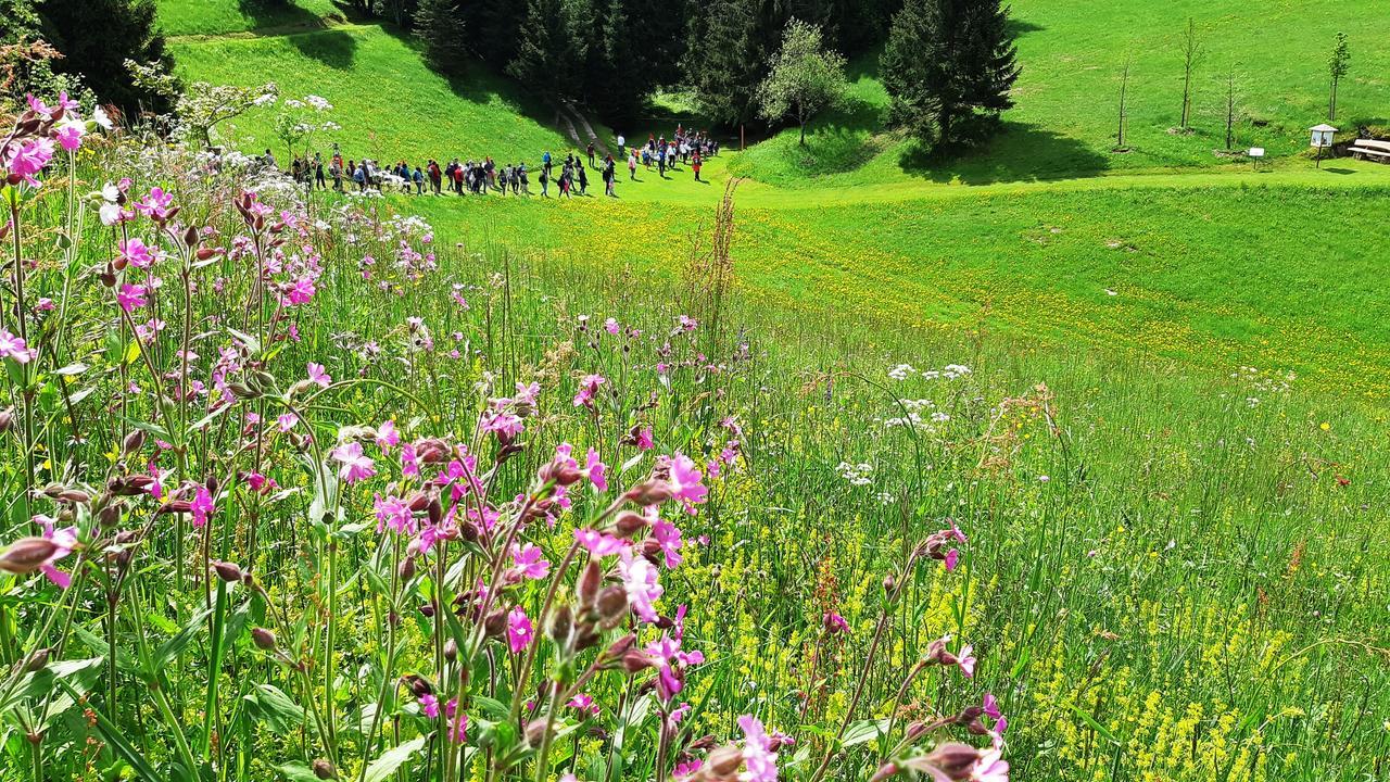 Hotel Da Barba B&B Asiago Buitenkant foto